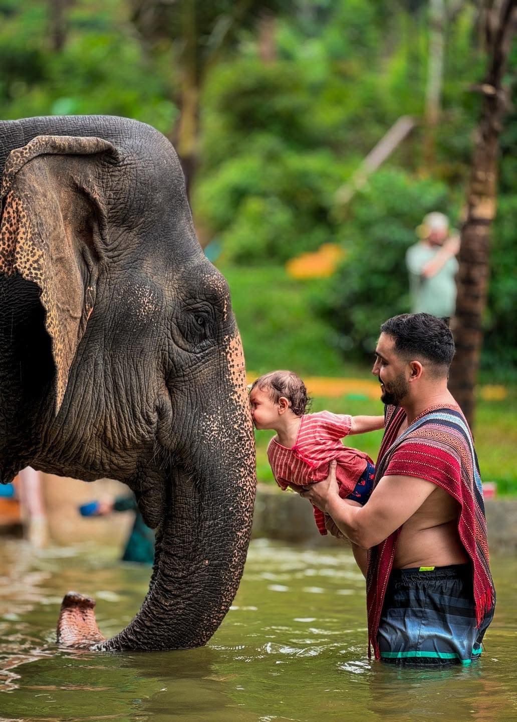 Elephant Care