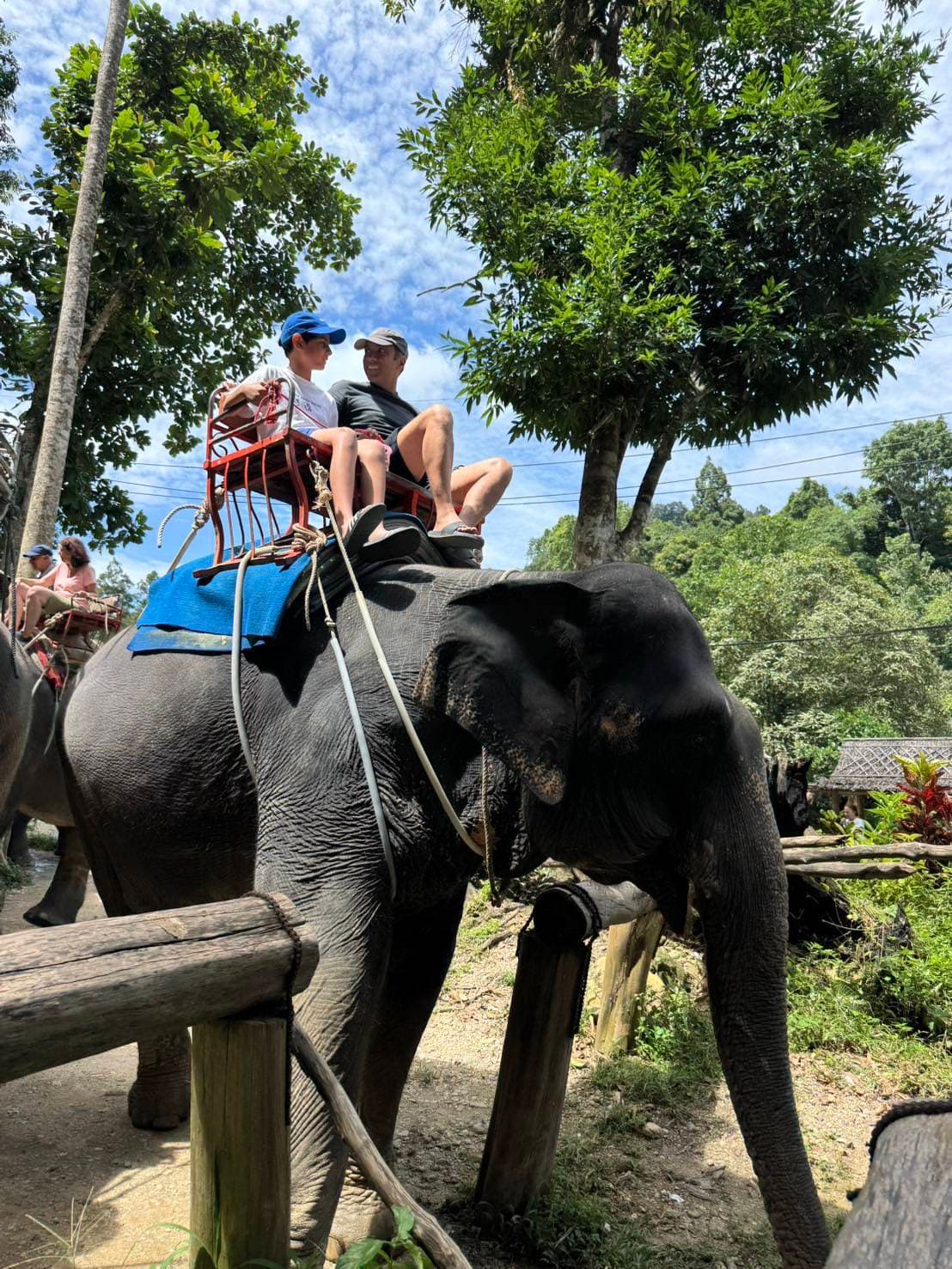 Elephant Trekking