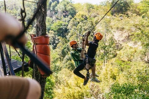 Hanuman Zipline